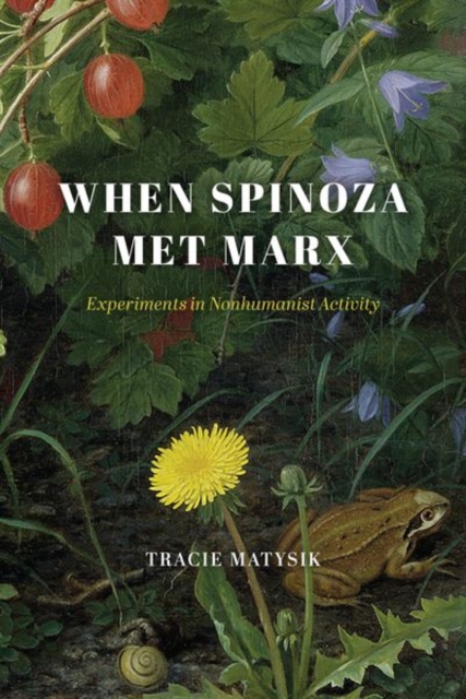 When Spinoza Met Marx : Experiments in Nonhumanist Activity, Hardback Book