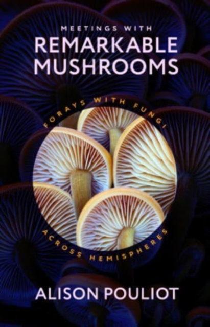 Meetings with Remarkable Mushrooms : Forays with Fungi across Hemispheres, Hardback Book