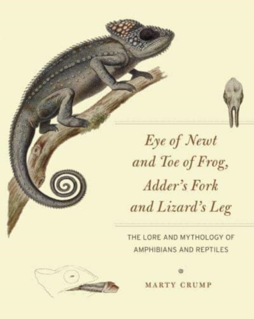 Eye of Newt and Toe of Frog, Adder's Fork and Lizard's Leg : The Lore and Mythology of Amphibians and Reptiles, Paperback / softback Book