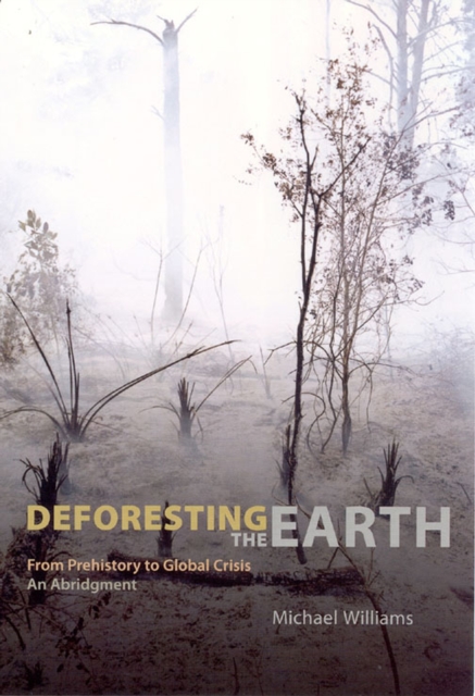 Deforesting the Earth : From Prehistory to Global Crisis, An Abridgment, Paperback / softback Book