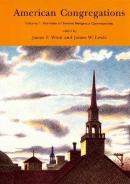 American Congregations : Portraits of Twelve Religious Communities v. 1, Paperback / softback Book