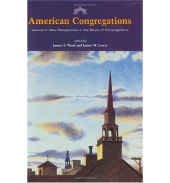 American Congregations : New Perspectives in the Study of Congregations v. 2, Hardback Book