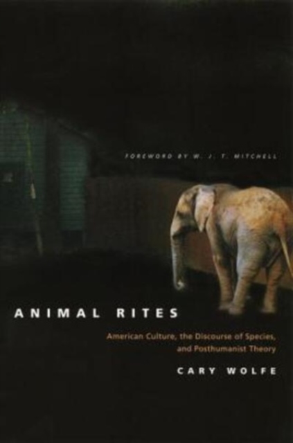 Animal Rites : American Culture, the Discourse of Species, and Posthumanist Theory, Hardback Book