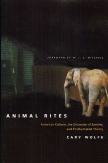 Animal Rites : American Culture, the Discourse of Species, and Posthumanist Theory, Paperback / softback Book