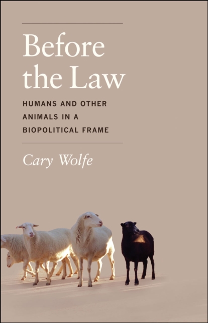 Before the Law : Humans and Other Animals in a Biopolitical Frame, Paperback / softback Book