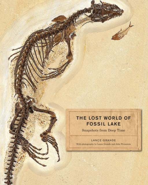 The Lost World of Fossil Lake : Snapshots from Deep Time, Hardback Book