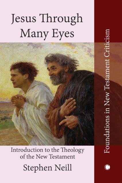 Jesus Through Many Eyes : Introduction to the Theology of the New Testament, Hardback Book