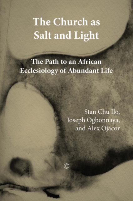 The Church as Salt and Light : Path to an African Ecclesiology of Abundant Life, PDF eBook