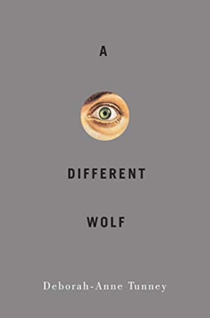 A Different Wolf, Paperback / softback Book