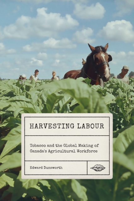 Harvesting Labour : Tobacco and the Global Making of Canada's Agricultural Workforce, EPUB eBook