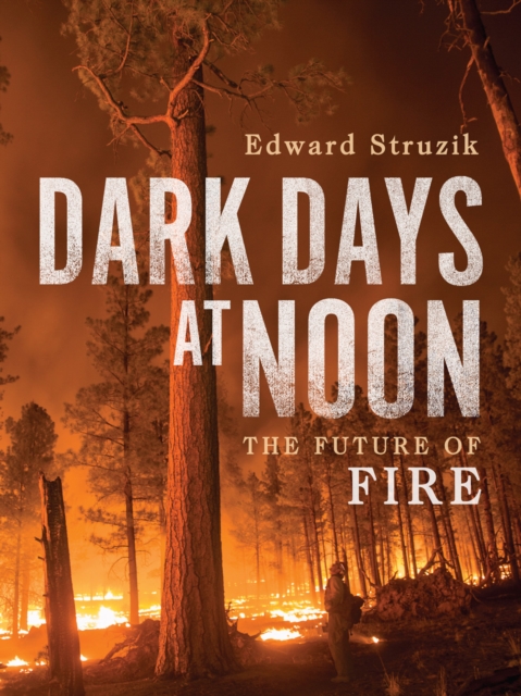 Dark Days at Noon : The Future of Fire, PDF eBook