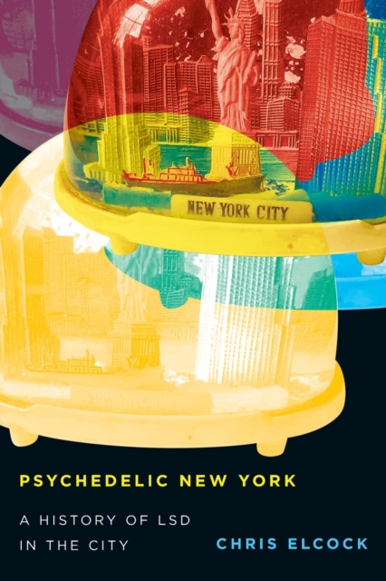 Psychedelic New York : A History of LSD in the City, Paperback / softback Book