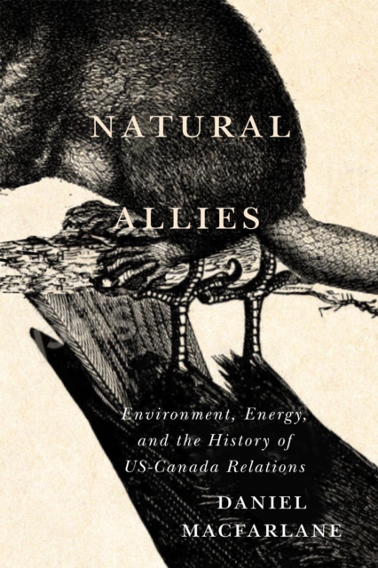 Natural Allies : Environment, Energy, and the History of US-Canada Relations, EPUB eBook
