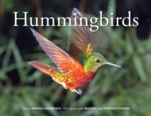 Hummingbirds, Paperback / softback Book