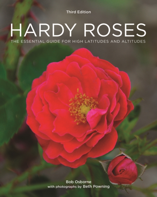 Hardy Roses : The Essential Guide for High Latitudes and Altitudes, Paperback / softback Book