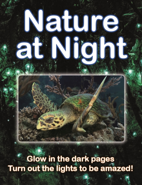 Nature at Night, Paperback / softback Book