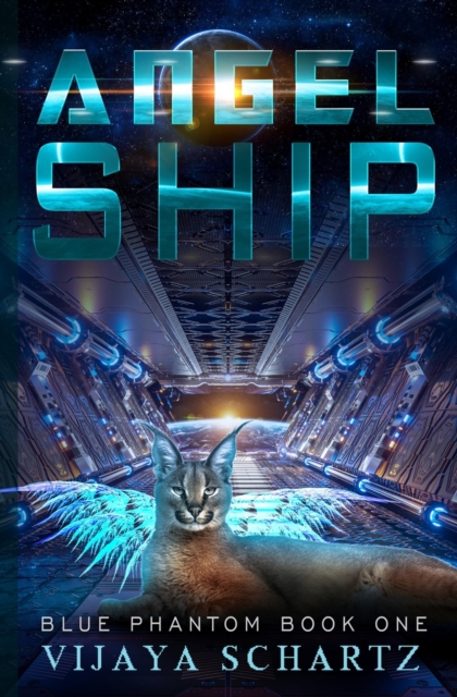 Angel Ship, Paperback / softback Book