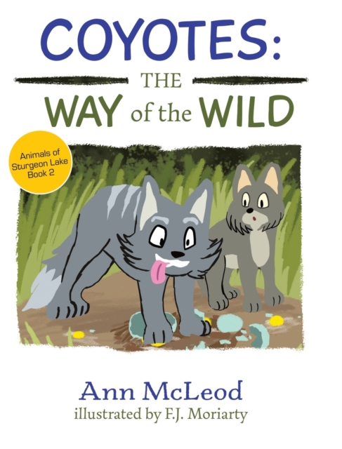Coyotes : The Way of the Wild, Hardback Book