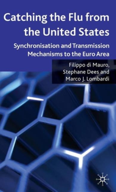 Catching the Flu from the United States : Synchronisation and Transmission Mechanisms to the Euro Area, Hardback Book