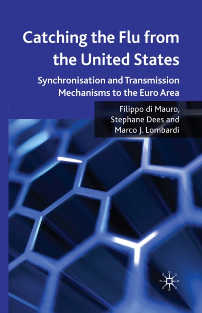 Catching the Flu from the United States : Synchronisation and Transmission Mechanisms to the Euro Area, PDF eBook