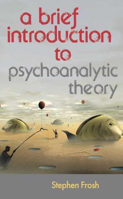 A Brief Introduction to Psychoanalytic Theory, Hardback Book