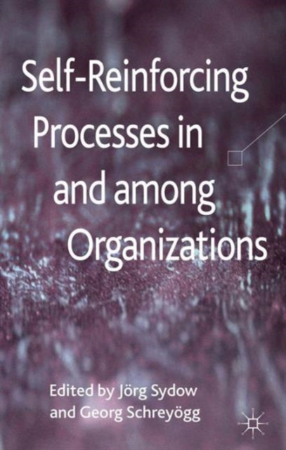 Self-Reinforcing Processes in and among Organizations, Hardback Book