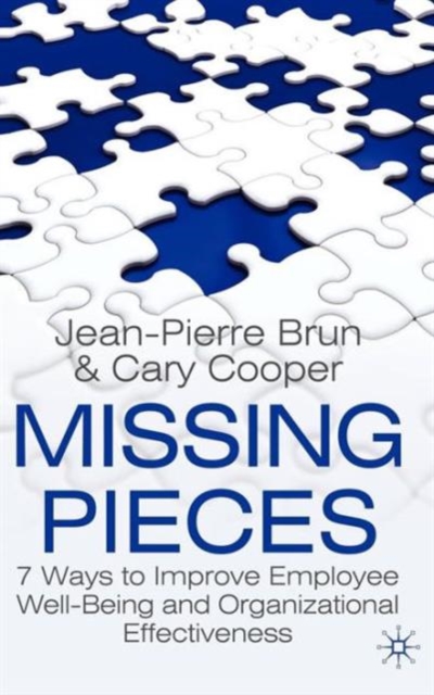Missing Pieces : 7 Ways to Improve Employee Well-Being and Organizational Effectiveness, Hardback Book