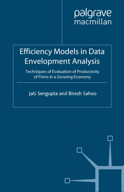 Efficiency Models in Data Envelopment Analysis : Techniques of Evaluation of Productivity of Firms in a Growing Economy, PDF eBook