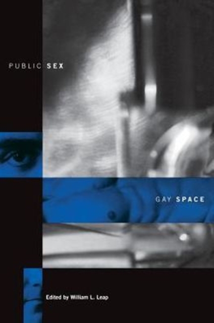 Public Sex/Gay Space, Paperback / softback Book