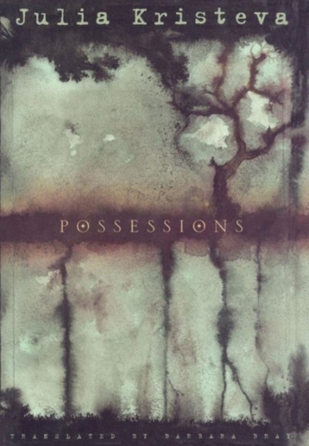 Possessions : A Novel, Hardback Book