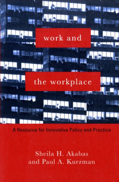 Work and the Workplace : A Resource for Innovative Policy and Practice, Paperback / softback Book
