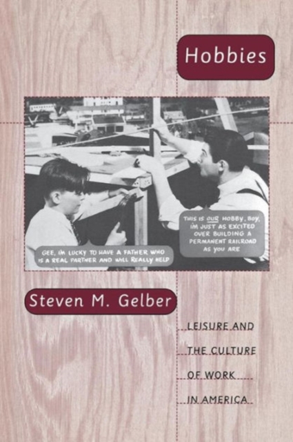 Hobbies : Leisure and the Culture of Work in America, Paperback / softback Book