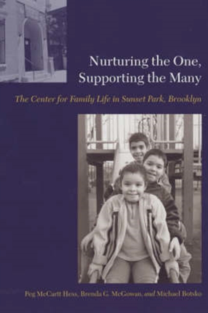 Nurturing the One, Supporting the Many : The Center for Family Life in Sunset Park, Brooklyn, Paperback / softback Book