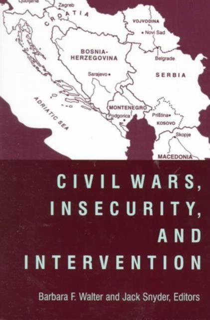 Civil Wars, Insecurity, and Intervention, Paperback / softback Book