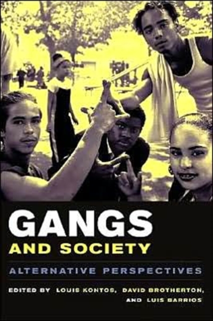 Gangs and Society : Alternative Perspectives, Hardback Book
