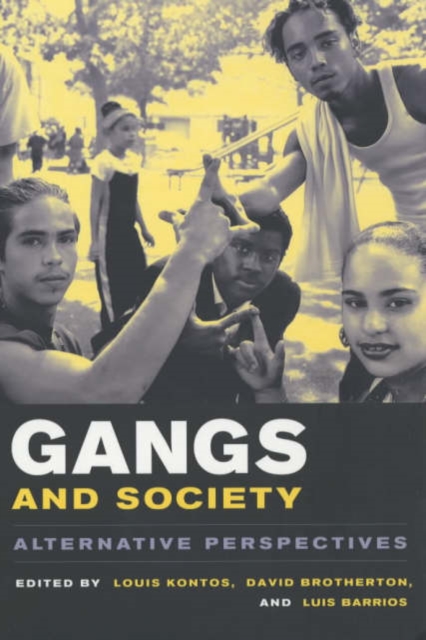 Gangs and Society : Alternative Perspectives, Paperback / softback Book