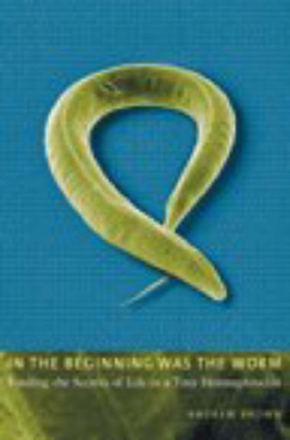 In the Beginning Was the Worm : Finding the Secrets of Life in a Tiny Hermaphrodite, Hardback Book