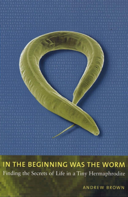 In the Beginning Was the Worm : Finding the Secrets of Life in a Tiny Hermaphrodite, Paperback / softback Book