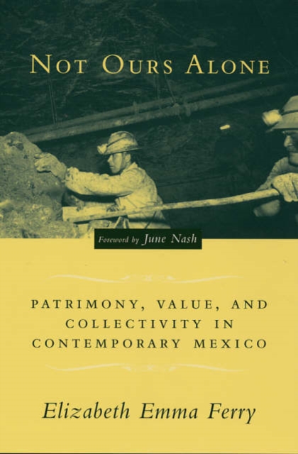 Not Ours Alone : Patrimony, Value, and Collectivity in Contemporary Mexico, Paperback / softback Book