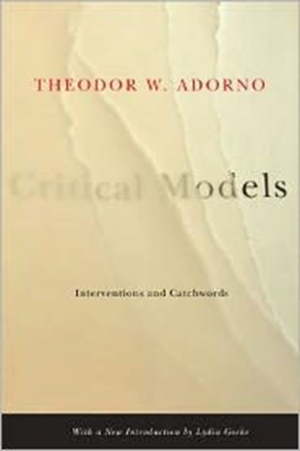 Critical Models : Interventions and Catchwords, Hardback Book