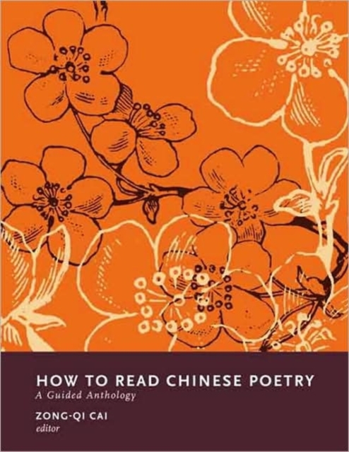 How to Read Chinese Poetry : A Guided Anthology, Hardback Book