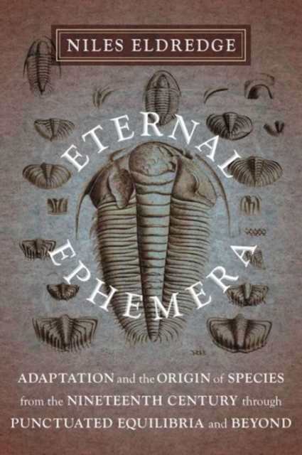 Eternal Ephemera : Adaptation and the Origin of Species from the Nineteenth Century Through Punctuated Equilibria and Beyond, Paperback / softback Book
