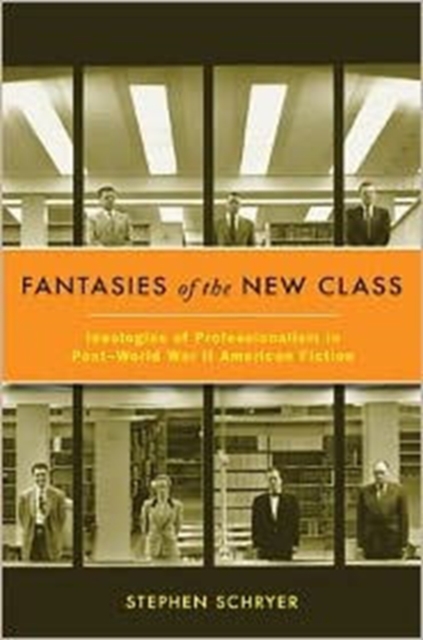 Fantasies of the New Class : Ideologies of Professionalism in Post-World War II American Fiction, Hardback Book
