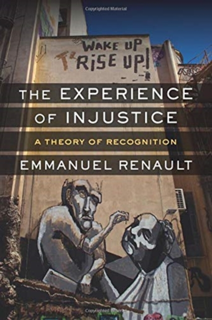 The Experience of Injustice : A Theory of Recognition, Hardback Book