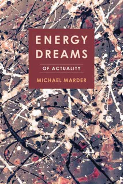 Energy Dreams : Of Actuality, Hardback Book