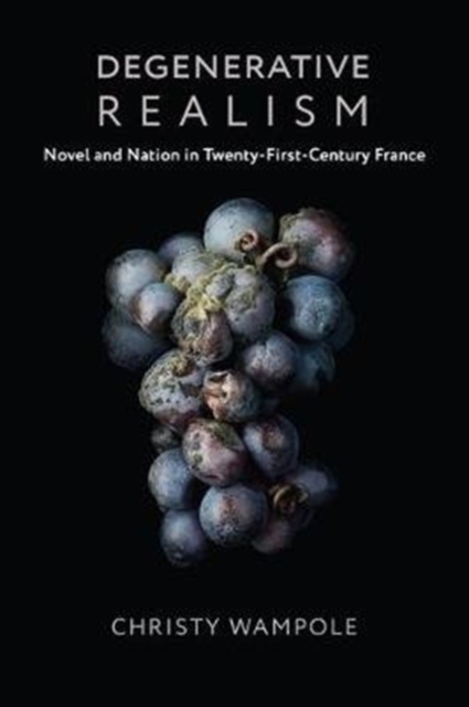 Degenerative Realism : Novel and Nation in Twenty-First-Century France, Paperback / softback Book