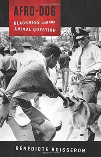 Afro-Dog : Blackness and the Animal Question, Paperback / softback Book
