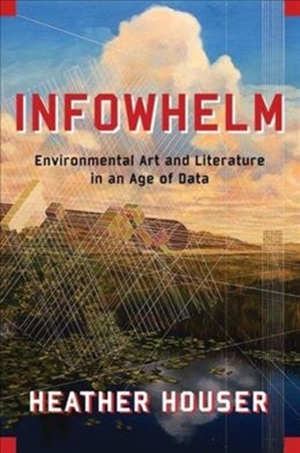Infowhelm : Environmental Art and Literature in an Age of Data, Hardback Book