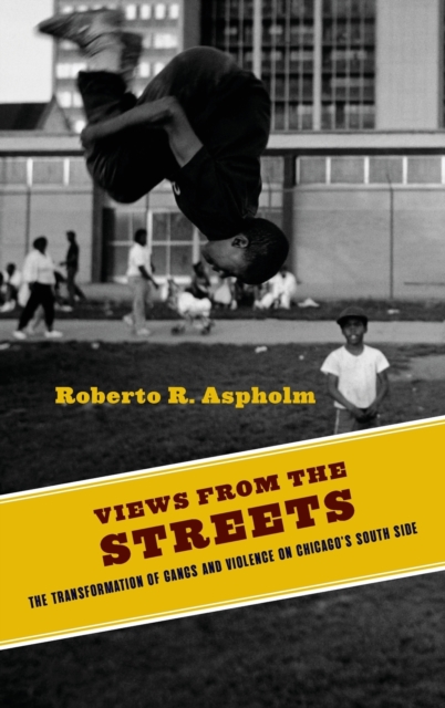 Views from the Streets : The Transformation of Gangs and Violence on Chicago's South Side, Hardback Book