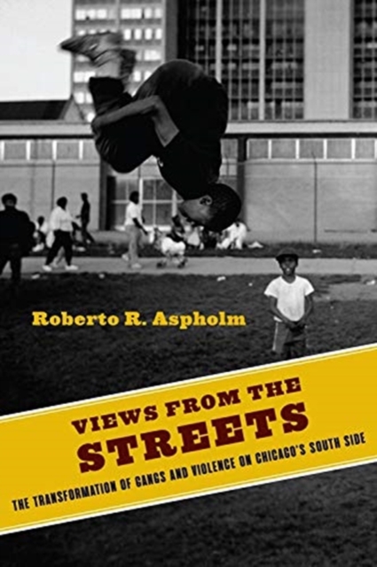Views from the Streets : The Transformation of Gangs and Violence on Chicago's South Side, Paperback / softback Book
